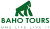 Baho Tours